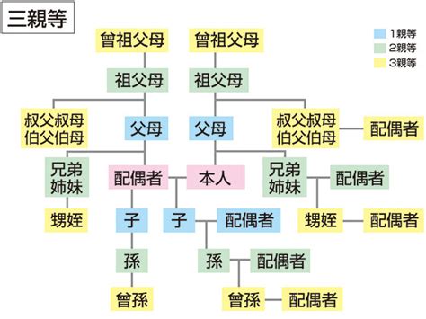 三等親有哪些|親系親等